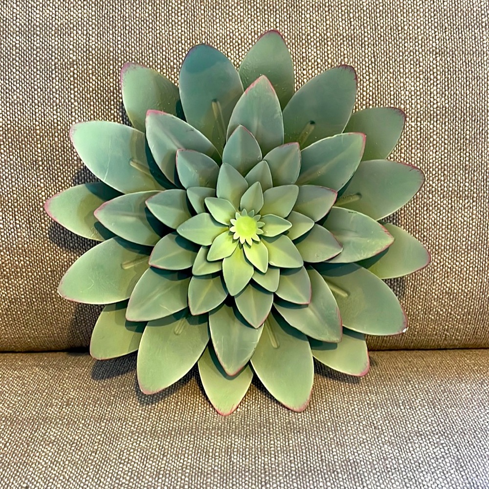 Succulent Wall Decor